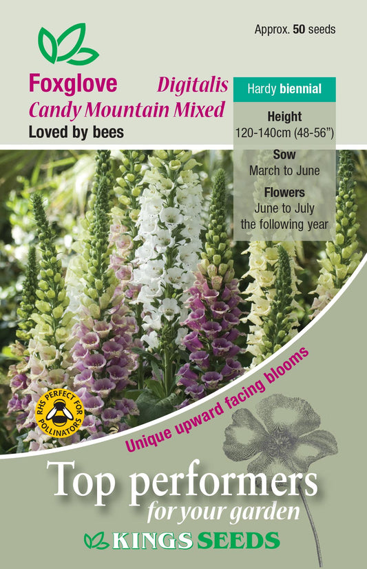 Kings Seeds Foxglove Candy Mountain Mix 50 Seed