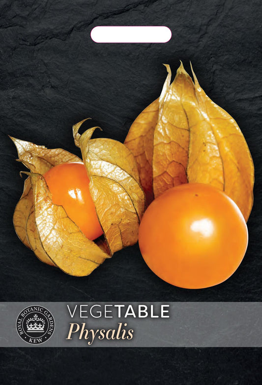 Thompson & Morgan Kew Fruit Physalis Edulus Peruviana (Golden Berry) - 250 Seeds