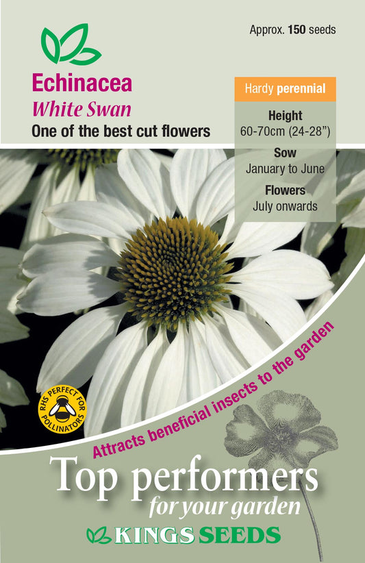 Kings Seeds Echinacea White Swan 150 Seeds