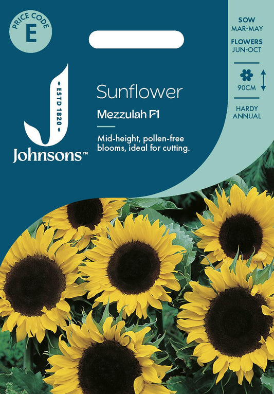 Johnsons - Sunflower Mezzulah F1 - 20 Seeds