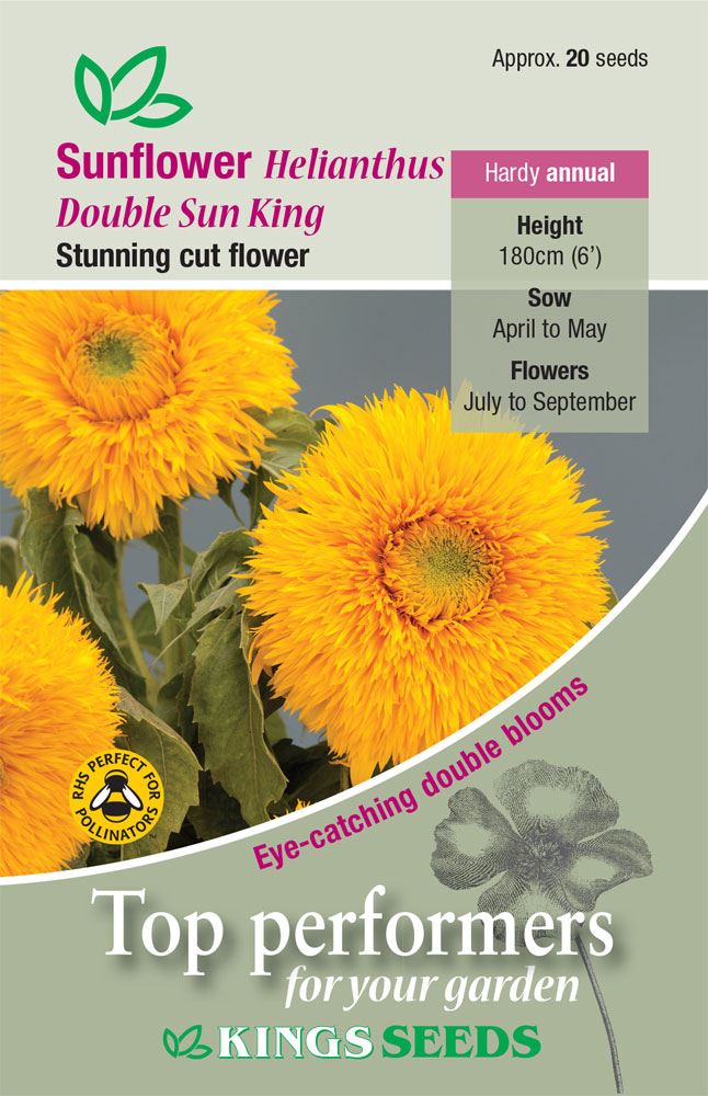 Kings Seeds - Flower - Sunflower Double Sun King Seeds