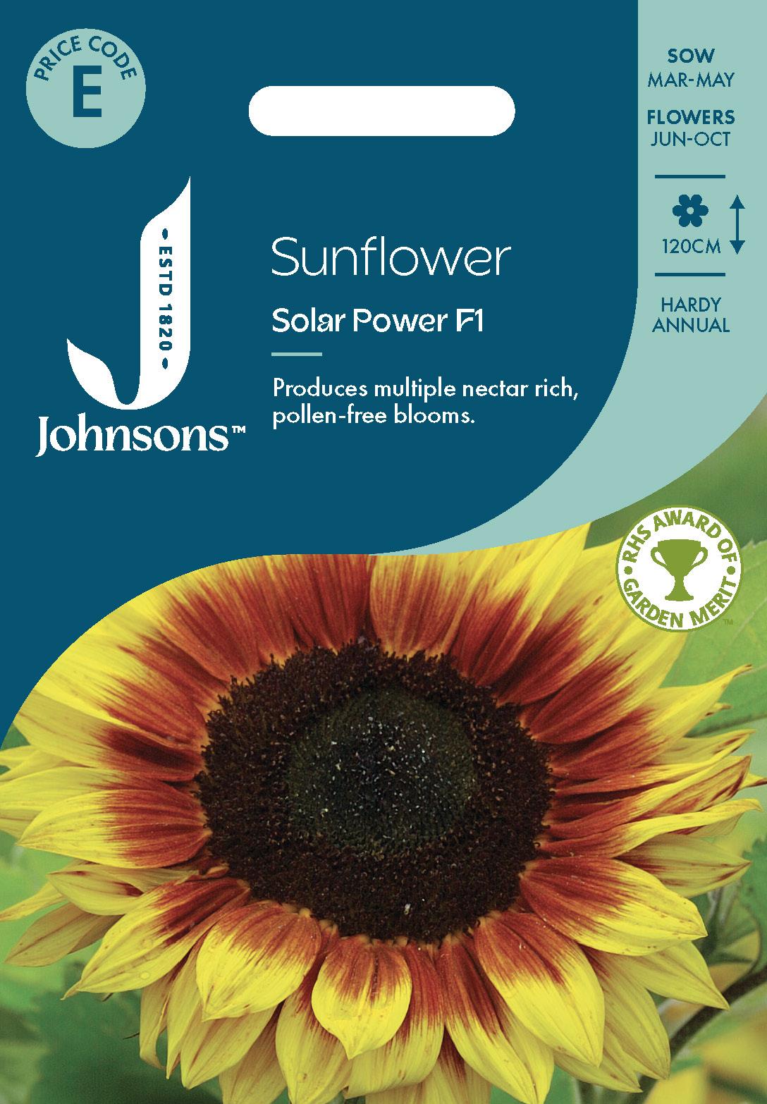 Johnsons - Sunflower Solar Power F1 - 20 Seeds