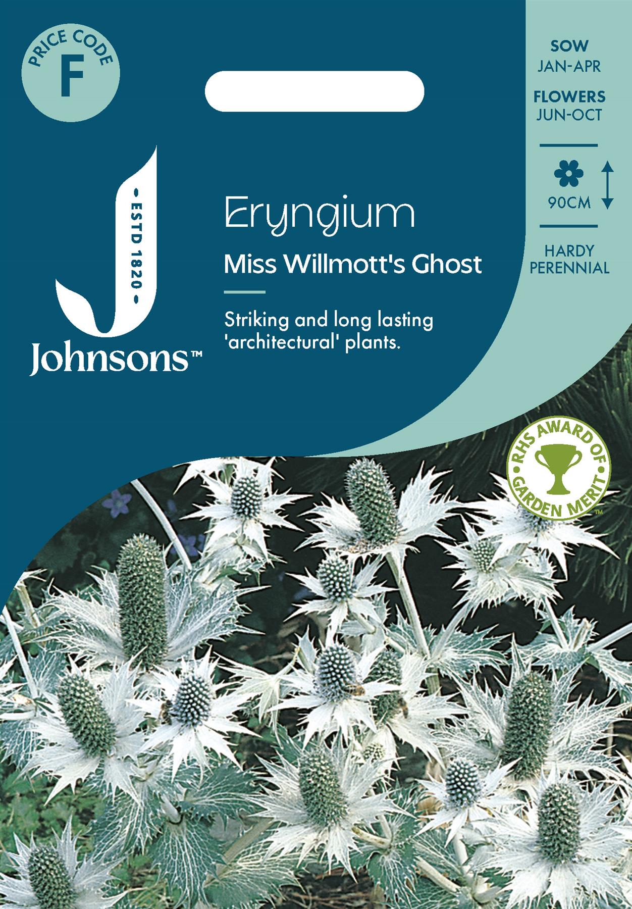 Johnsons - Eryngium Miss Willmotts Ghost - 30 Seeds