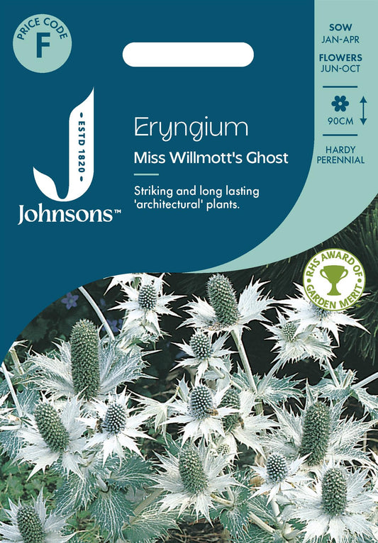 Johnsons - Eryngium Miss Willmotts Ghost - 30 Seeds