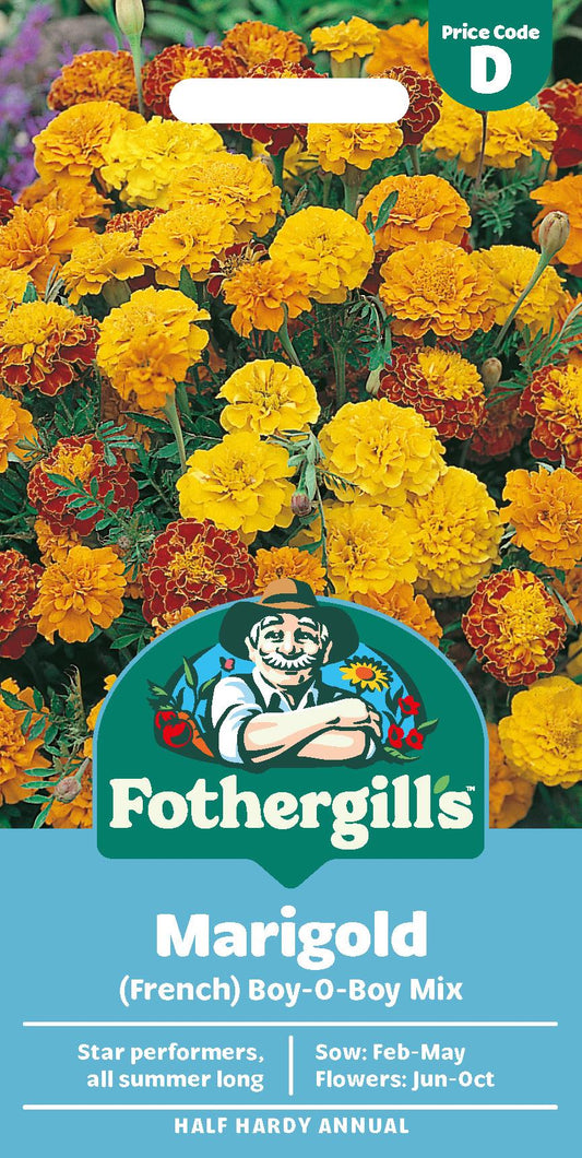 Fothergills French Marigold Boy-O-Boy Mix Seeds