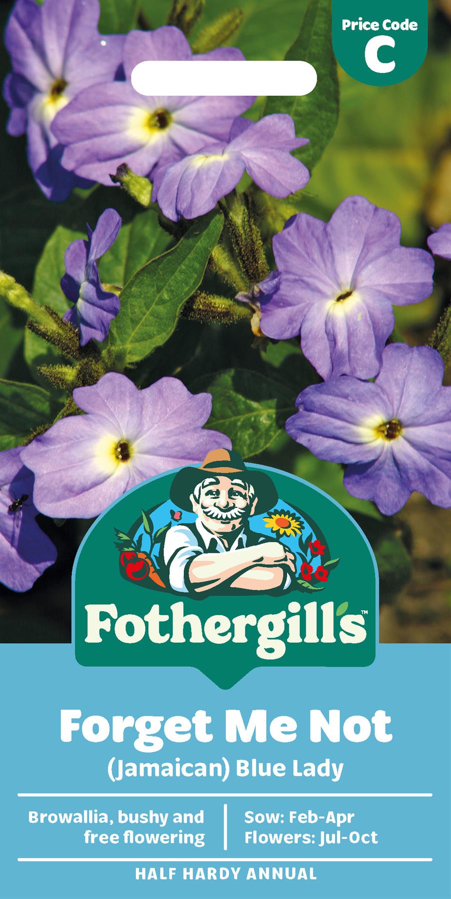 Fothergills Forget Me Not (Jamaican) Blue Lady Seeds