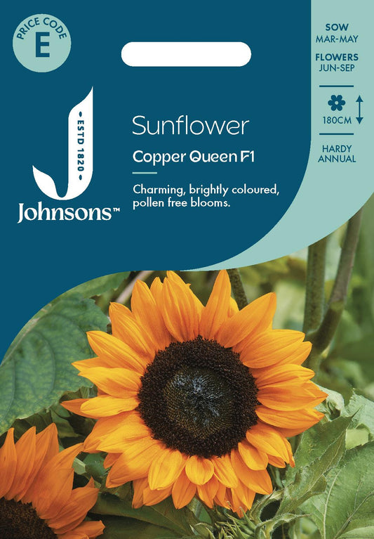 Johnsons - Sunflower Copper Queen F1 - 25 Seeds