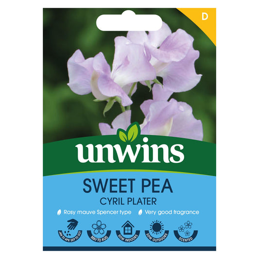 Unwins Flower Sweet Pea Cyril Plater - 21 Seeds