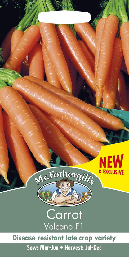 Mr Fothergills Carrot Volcano F1 - 350 Seeds