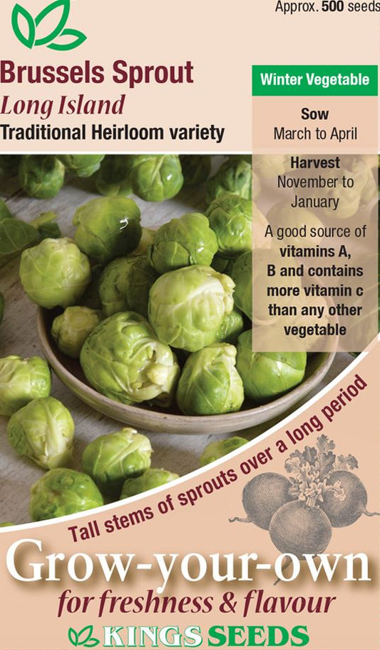 Kings Seeds  Brussels Sprout Long Island Seeds