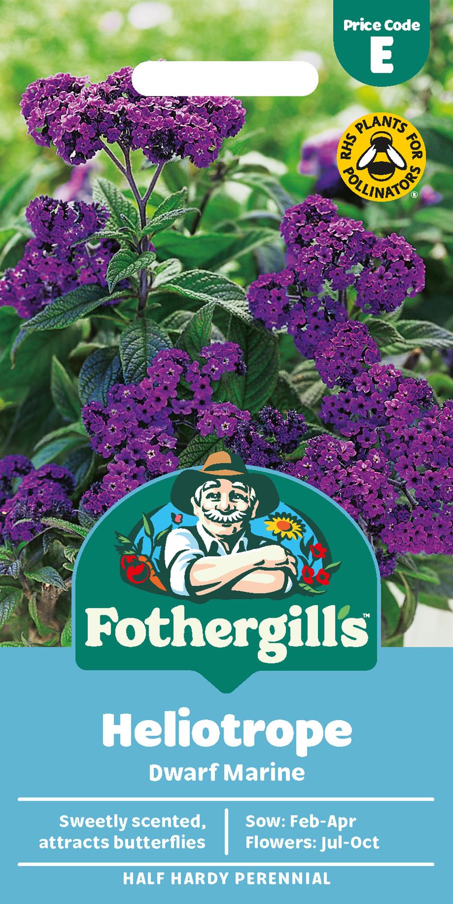 Fothergills Heliotrope Dwarf Marine Seeds