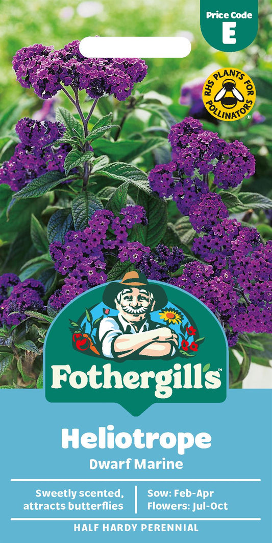 Fothergills Heliotrope Dwarf Marine Seeds