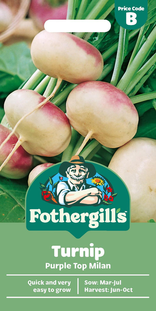 Fothergills Turnip Purple Top Milan Seeds