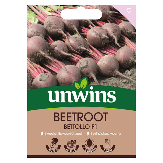 Unwins Vegetable Beetroot Bettollo F1 Hybrid - 300 Seeds