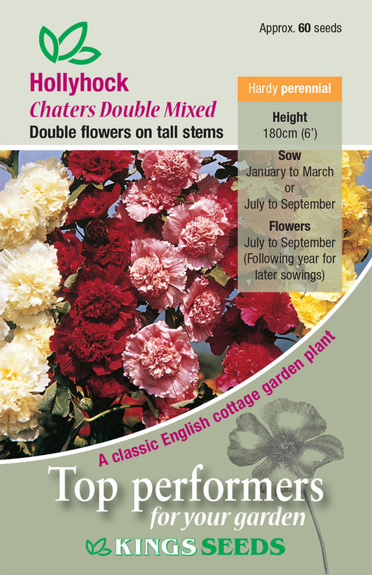Kings Seeds Hollyhock Chaters Double Mixed 60 Seeds