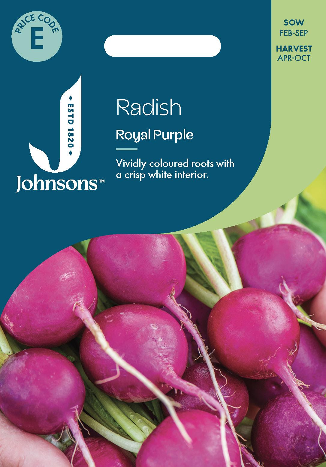 Johnsons - Radish Royal Purple - 300 Seeds