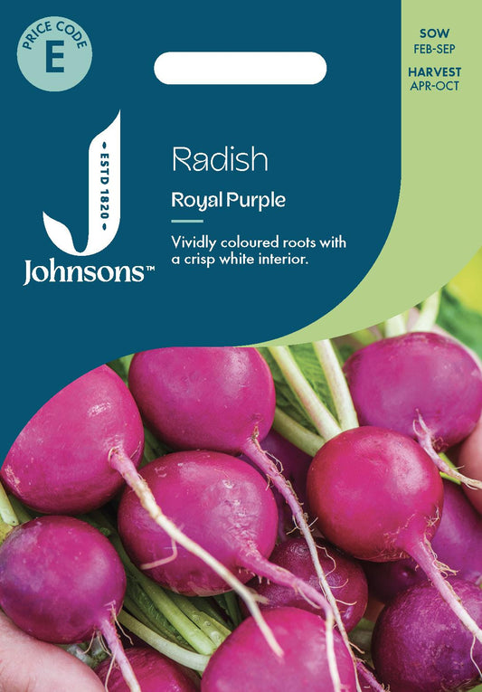 Johnsons - Radish Royal Purple - 300 Seeds