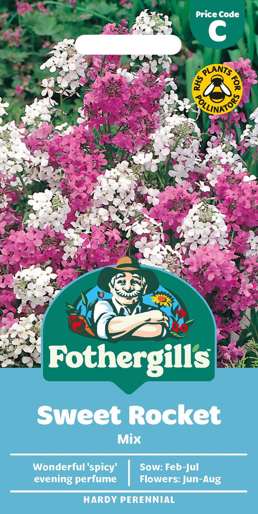 Fothergills Sweet Rocket Mix Seeds