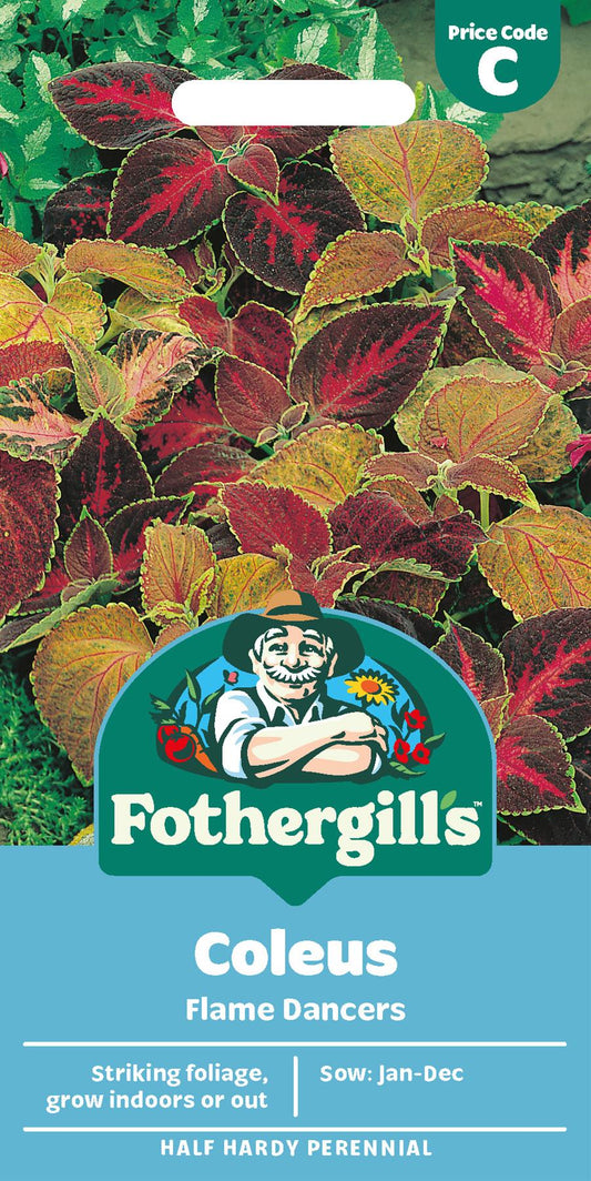 Fothergills Coleus Flame Dancers Seeds