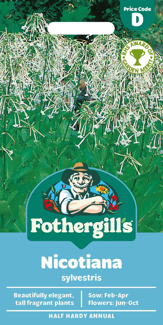 Fothergills Nicotiana Sylvestris Seeds