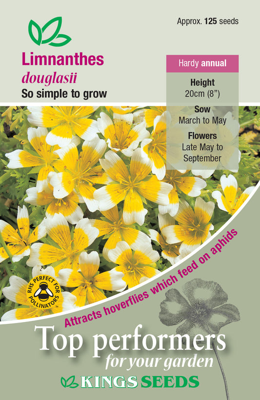 Kings Seeds Limnanthes Douglasii Poached Egg Plant 125 Seeds