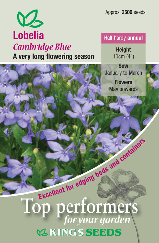 Kings Seeds Lobelia Cambridge Blue 2500 Seeds - Reduced Short Sow By Date Sept 2024