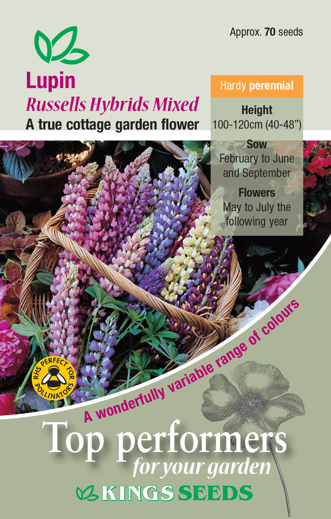 Kings Seeds Lupin Russell Hybrids Mixed 70 Seeds