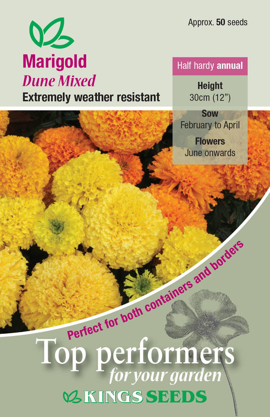 Kings Seeds Marigold African Dune Mixed 50 Seed