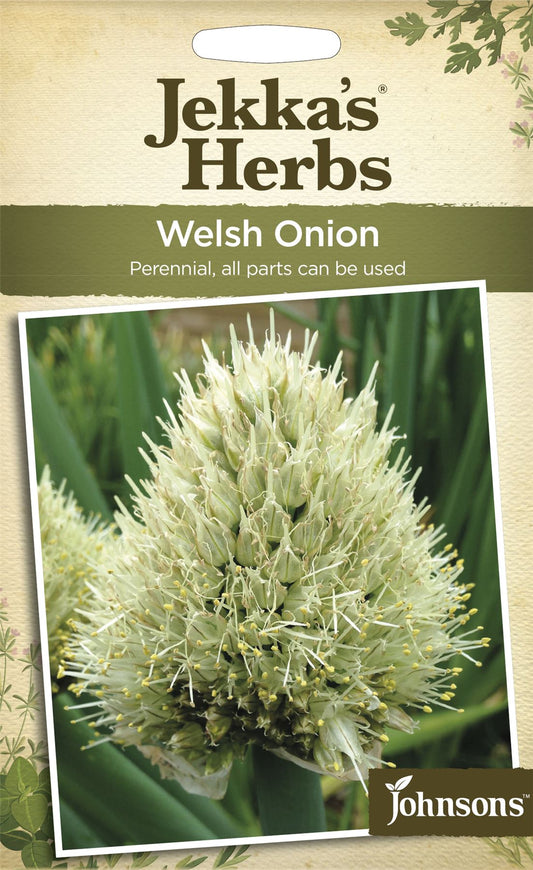 Johnsons Jekka's Herbs Welsh Onion 110 Seeds