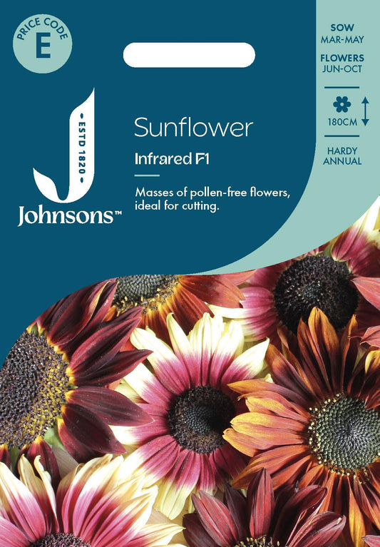 Johnsons - Sunflower Infrared F1 - 20 Seeds