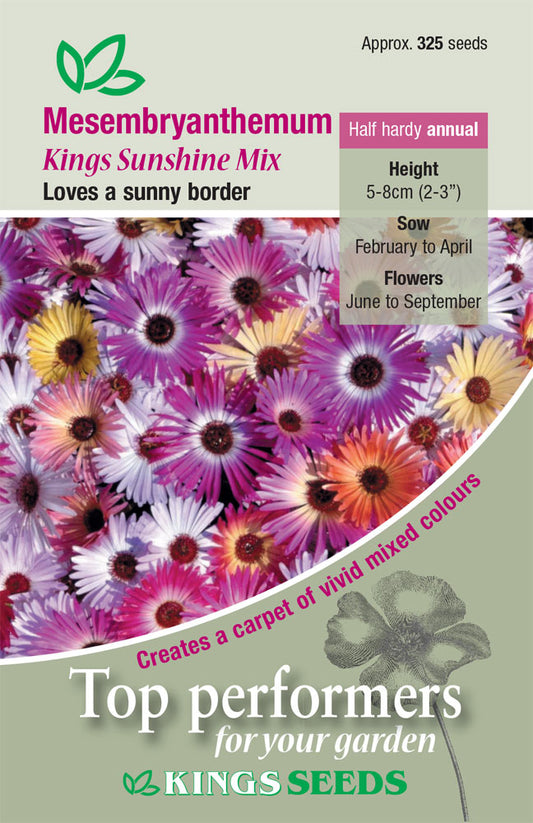 Kings Seeds Mesembryanthemum Sunshine Mixed 325 Seeds
