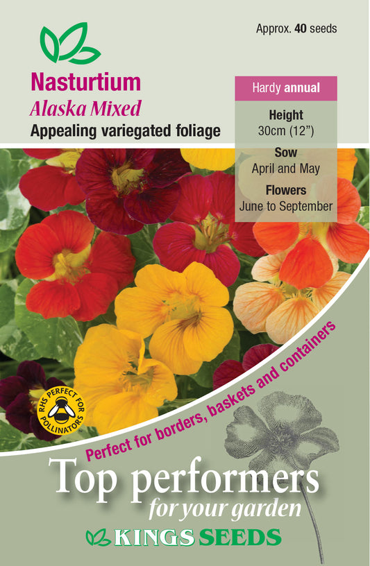 Kings Seeds Nasturtium Alaska Mixed 40 Seed