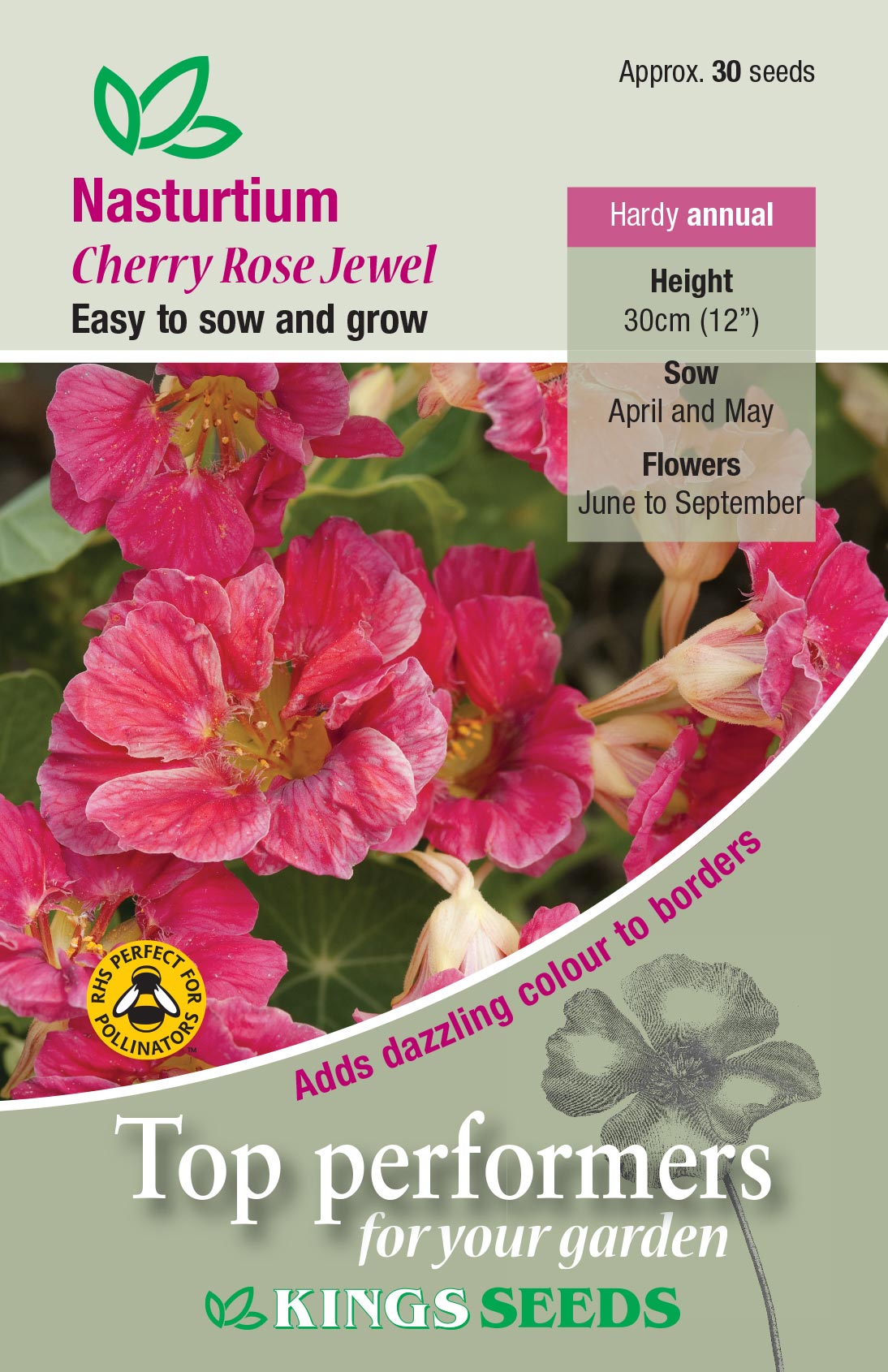 Kings Seeds Nasturtium Cherry Rose Jewel Seeds