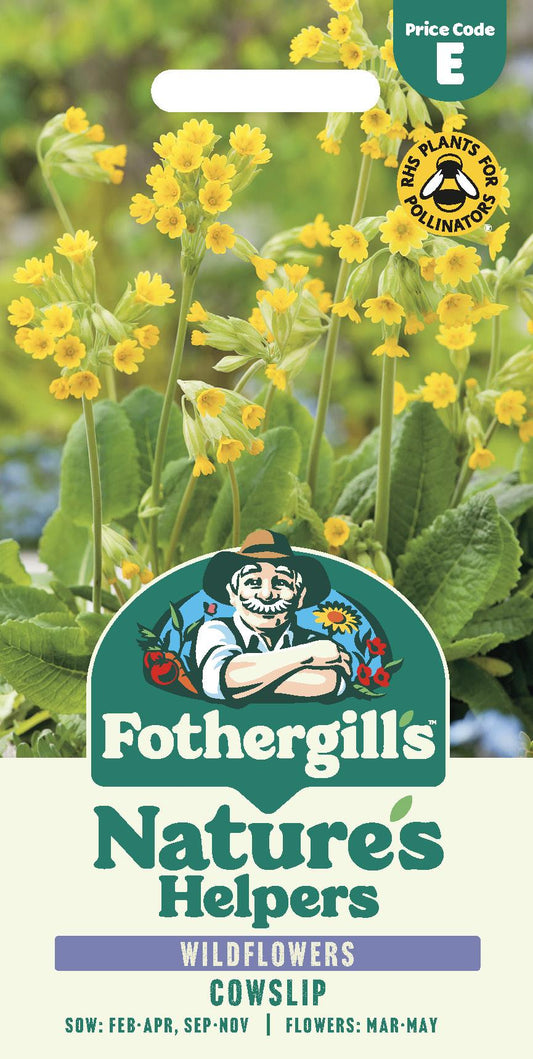 Fothergills Wild flowers Nature Haven Cowslip Seeds