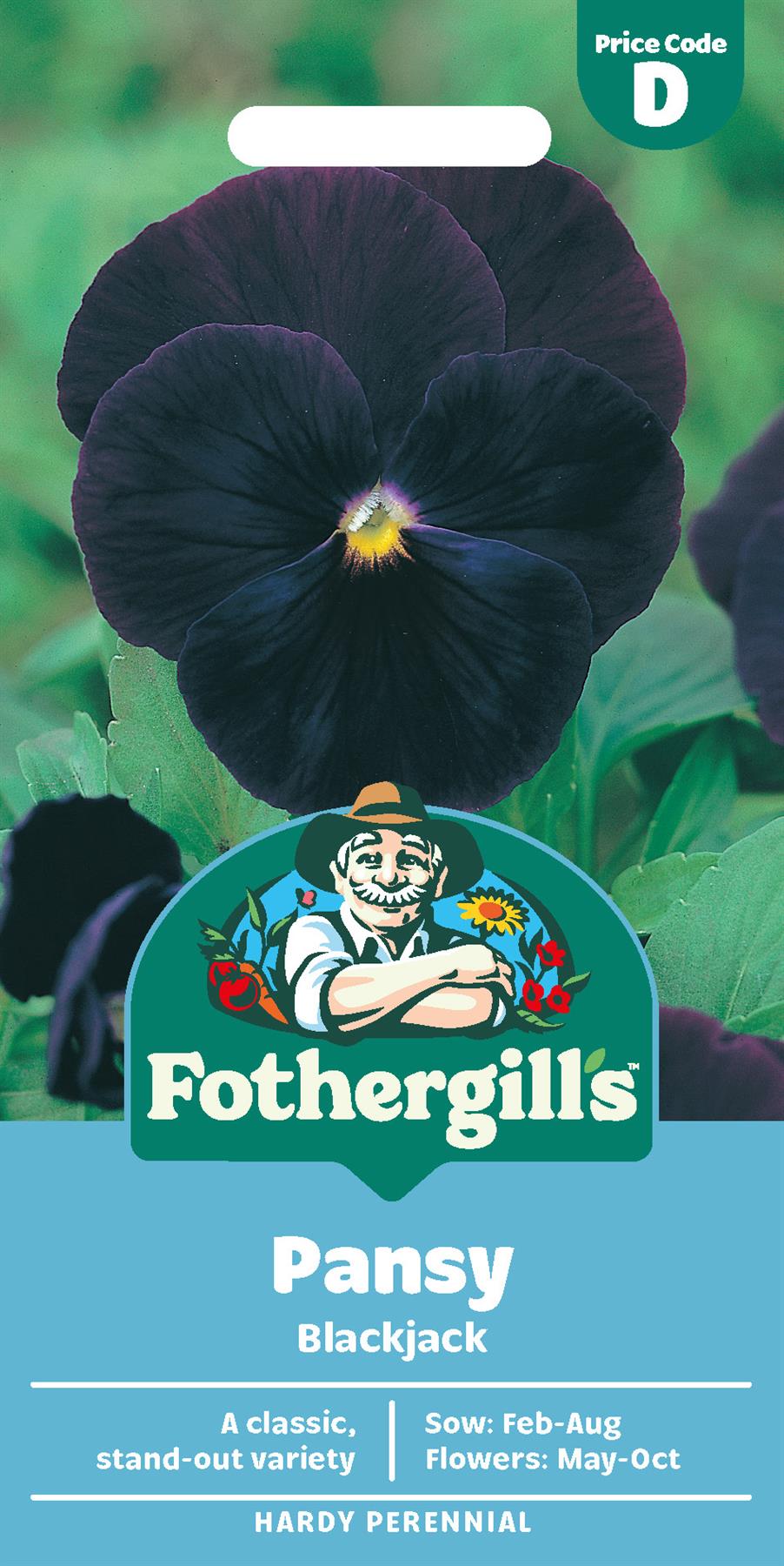 Fothergills Pansy Blackjack Seeds