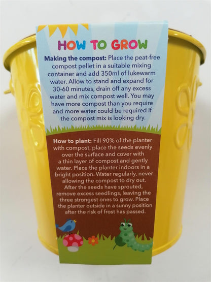 Taylors - Grow Your Own - Sunflowers