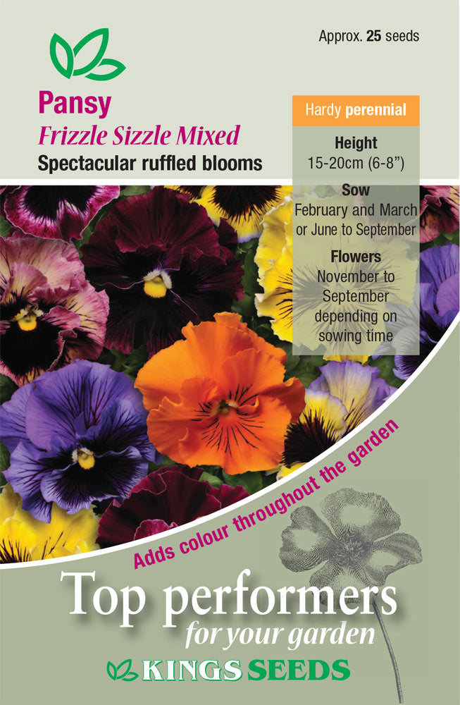 Kings Seeds Pansy Frizzle Sizzle Mixed 25 Seed