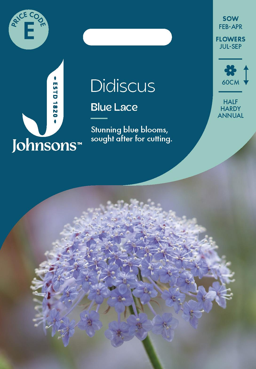Johnsons - Didiscus Blue Lace - 100 Seeds