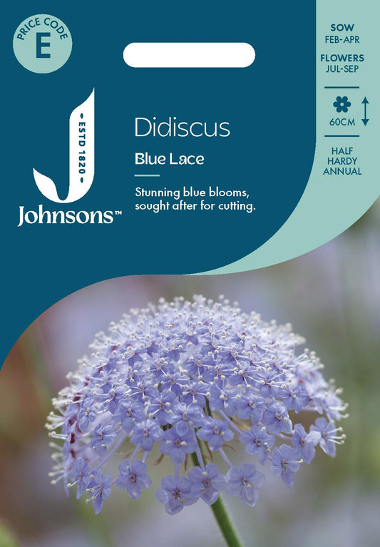 Johnsons - Didiscus Blue Lace - 100 Seeds