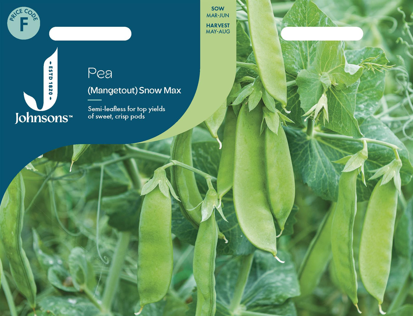 Johnsons - Pea (mangetout) Snow Max - 150 Seeds