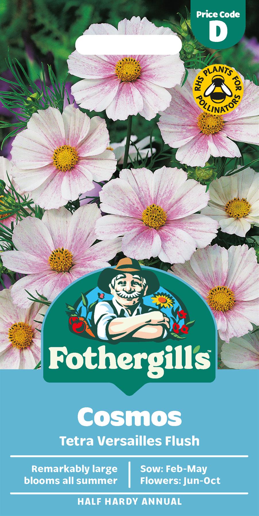 Fothergills Cosmos Tetra Versailles Flush Seeds