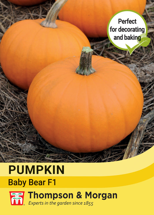 Thompson & Morgan  Vegetable Pumpkin Baby Bear F1 - 10 Seeds