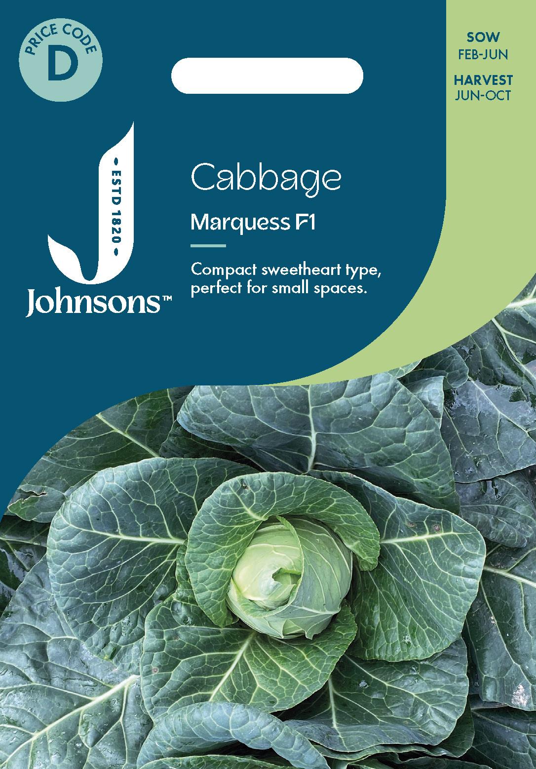Johnsons - Cabbage Marquess F1 - 30 Seeds