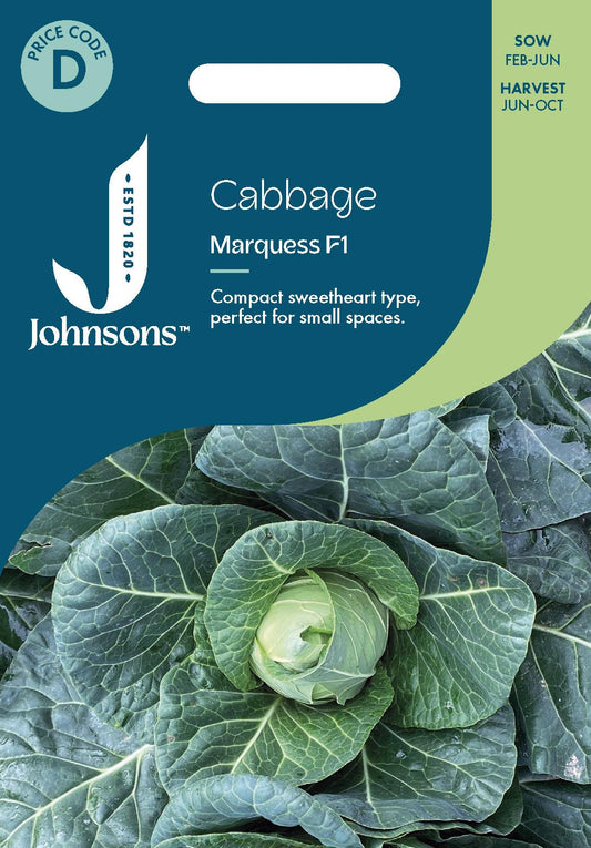 Johnsons - Cabbage Marquess F1 - 30 Seeds