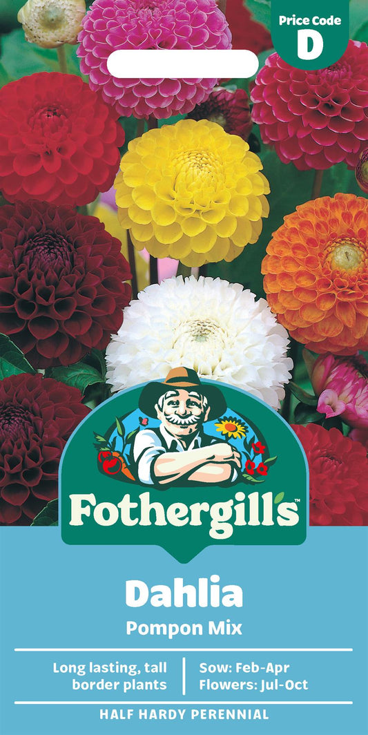 Fothergills Dahlia Pompon Mix Seeds
