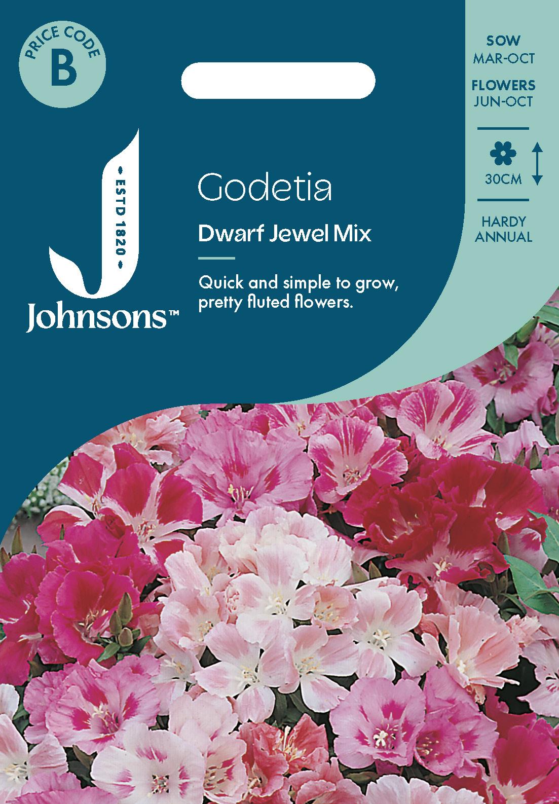 Johnsons - Godetia Dwarf Jewel Mix - 1000 Seeds