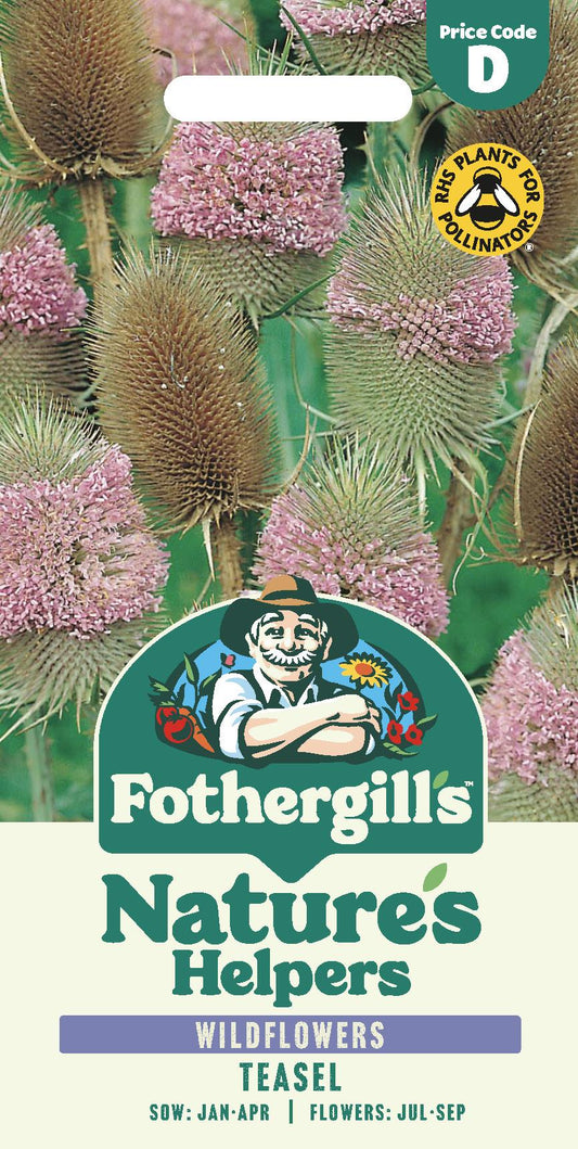 Fothergills Wild flowers Nature Haven Teasel Seeds