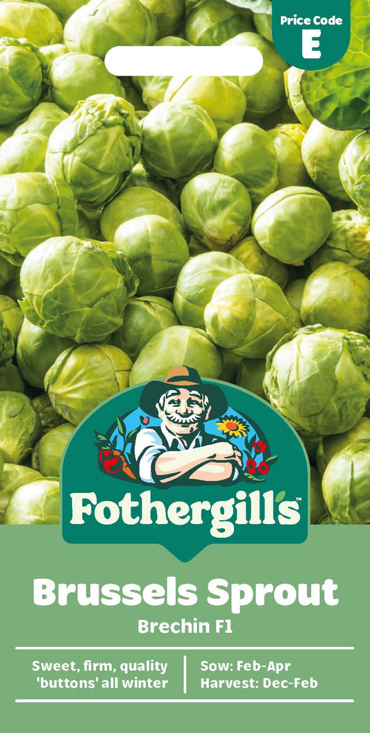 Fothergills Brussels Sprout Brechin F1 Seeds