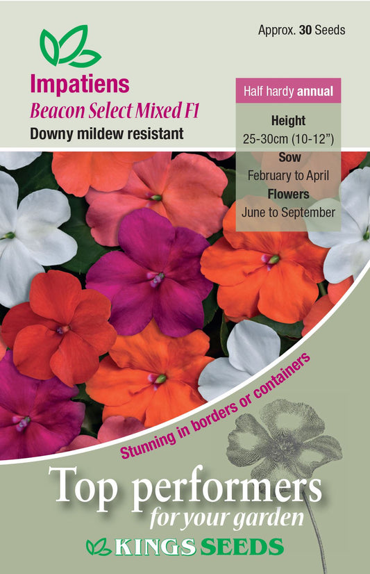 Kings Seeds Impatiens Beacon Select Mixed F1 Seeds