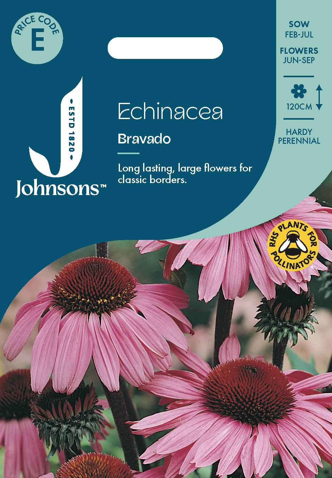 Johnsons - Echinacea Bravado - 50 Seeds